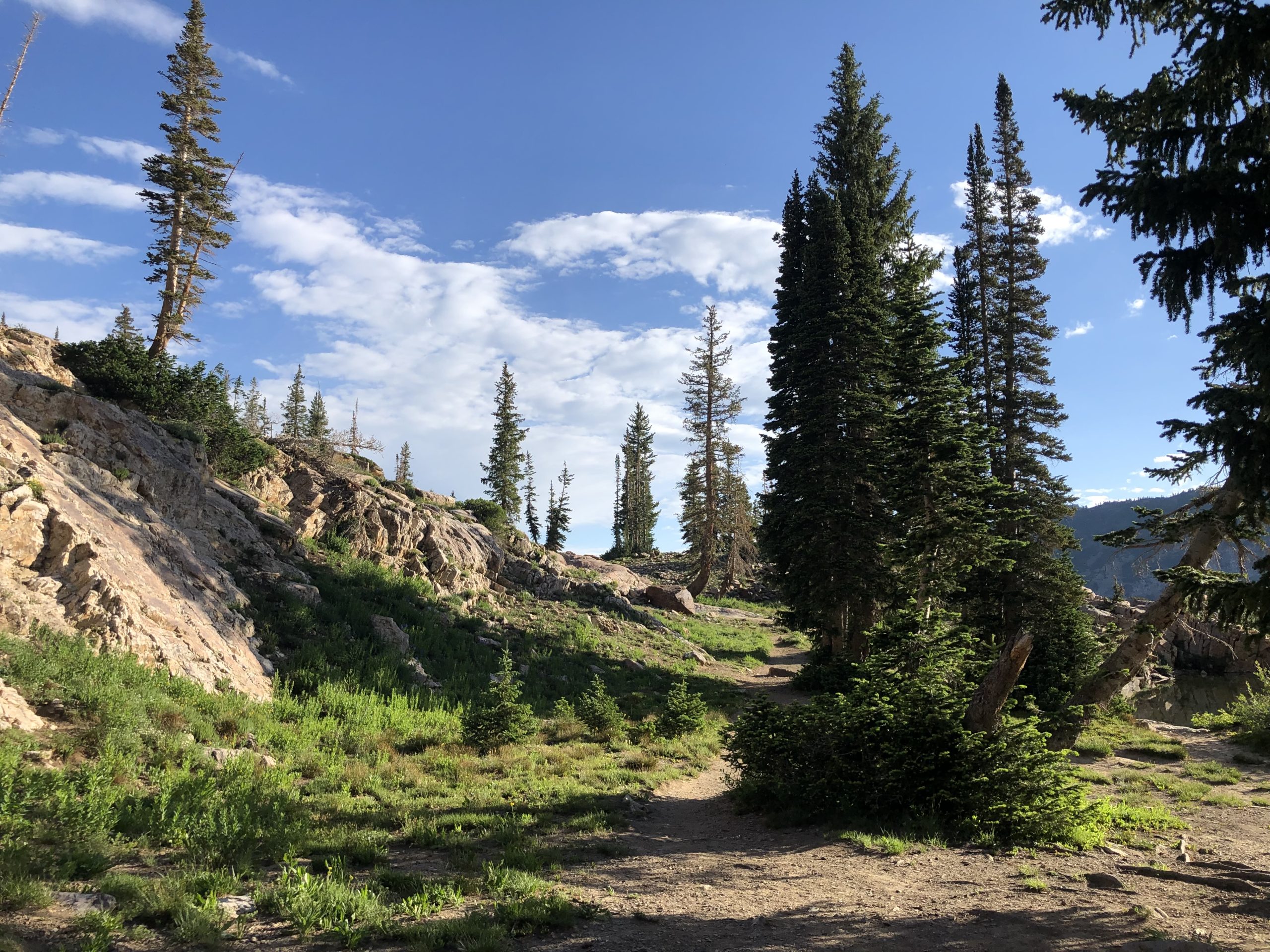 Utah Landscape